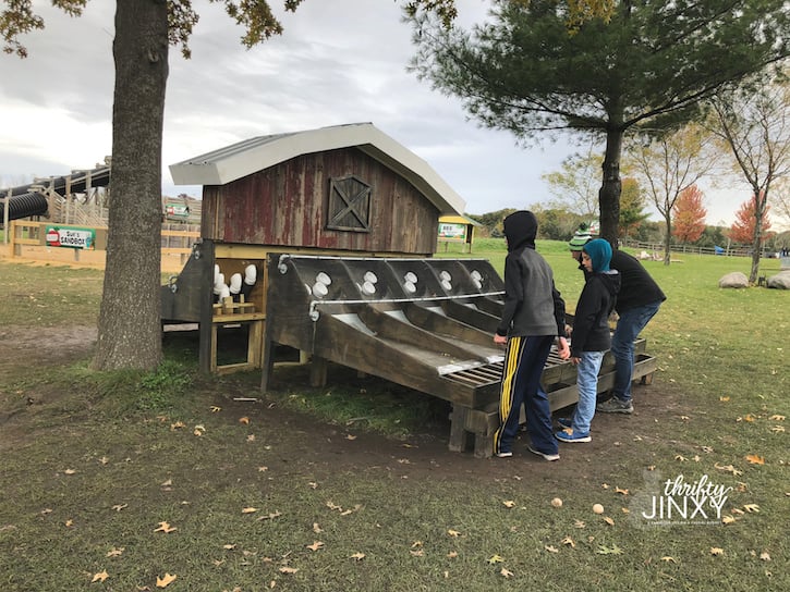 All Seasons Apple Orchard Games