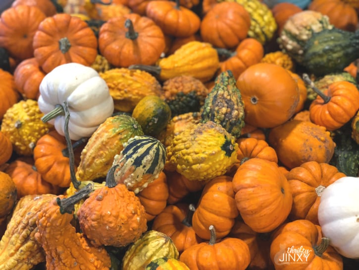 Colorful Gourds