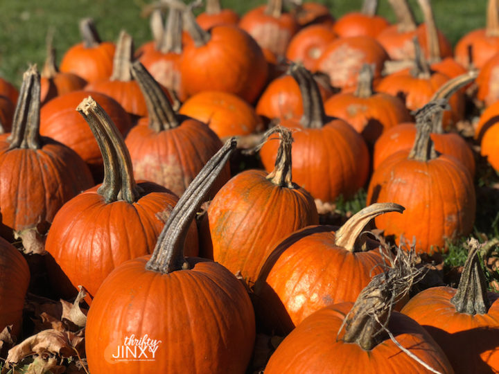 Free October Calendar Printable Page - Thrifty Jinxy