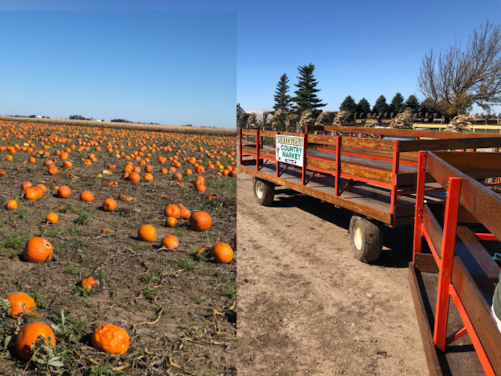 Pumpkin Tractor Ride