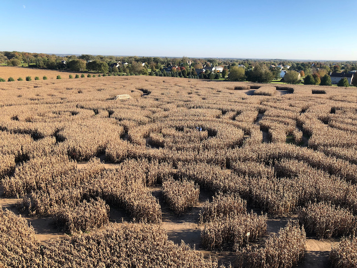 Richardson Adventure Farm Corn Maze Overhead View