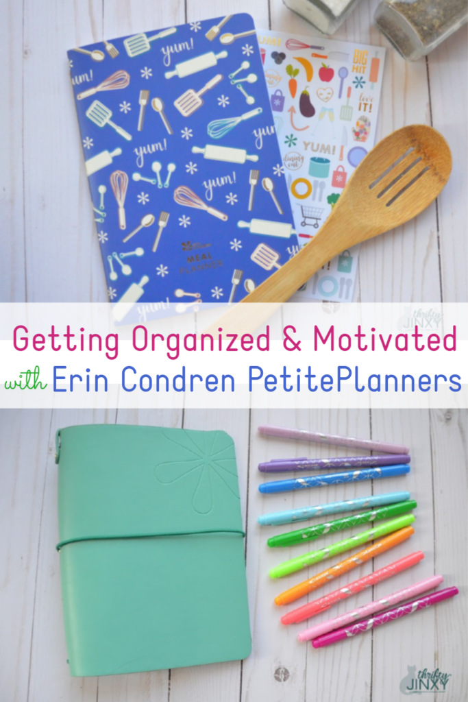 Erin Condren PetitePlanners and Folio System