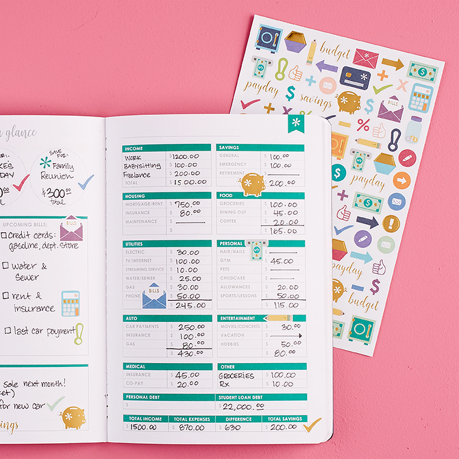 erin Condren Budget Book with Stickers