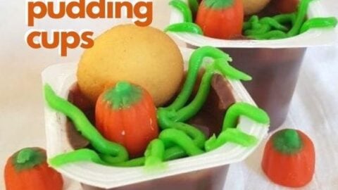 pumpkin patch pudding cups (4)
