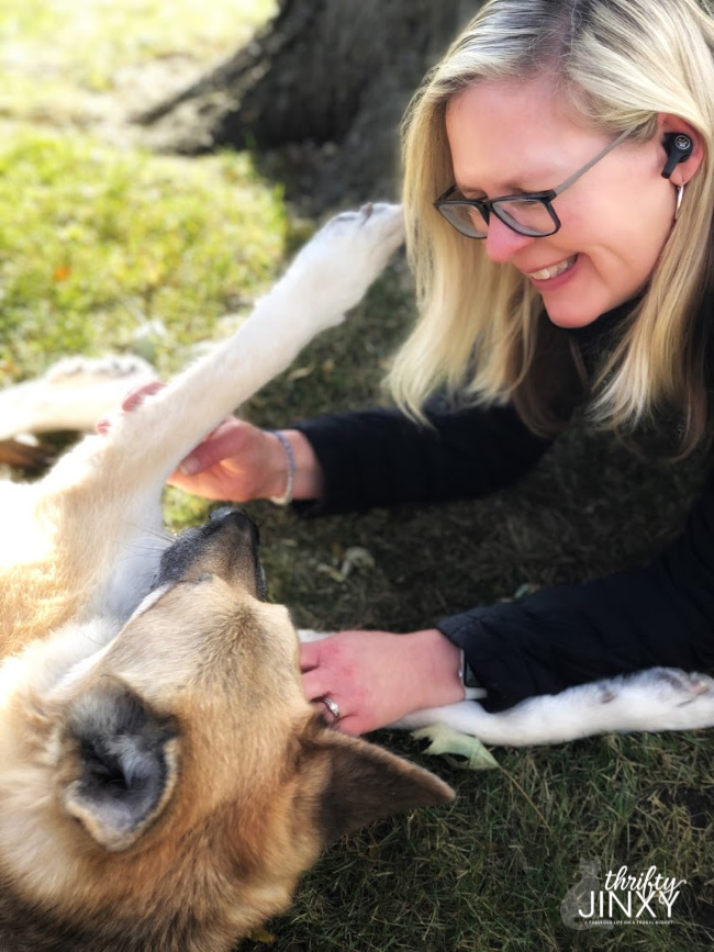 Woman and German Shepherd Dog Playing