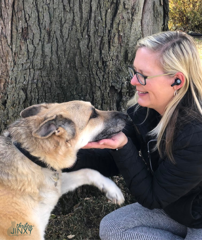 Woman and German Shepherd Dog