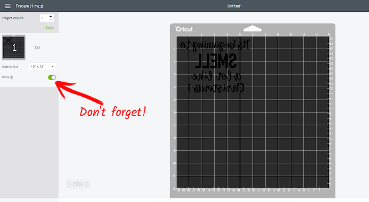 Cricut Iron On Mirror Setting