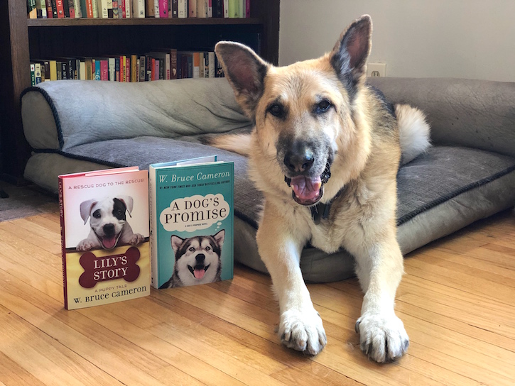 Books For Dog Lovers W Bruce Cameron Giveaway Thrifty Jinxy