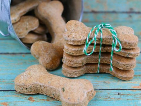 basic dog biscuit recipe