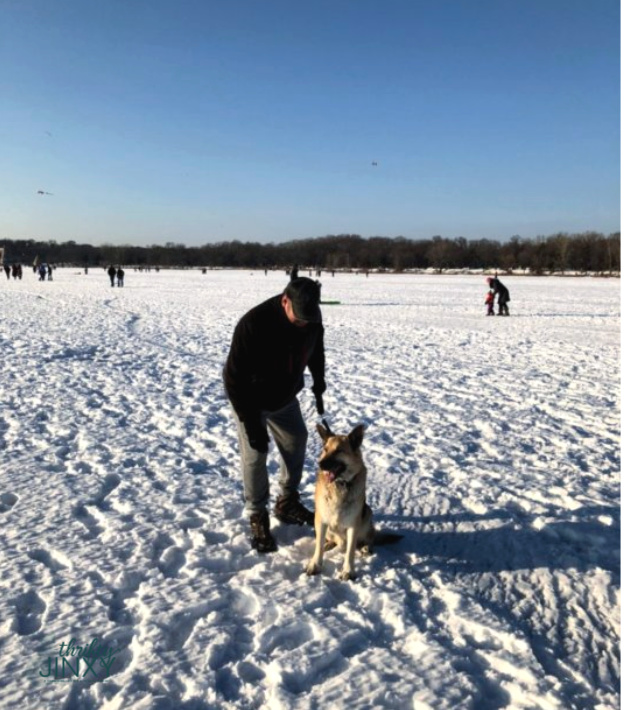 Walking dog in snow