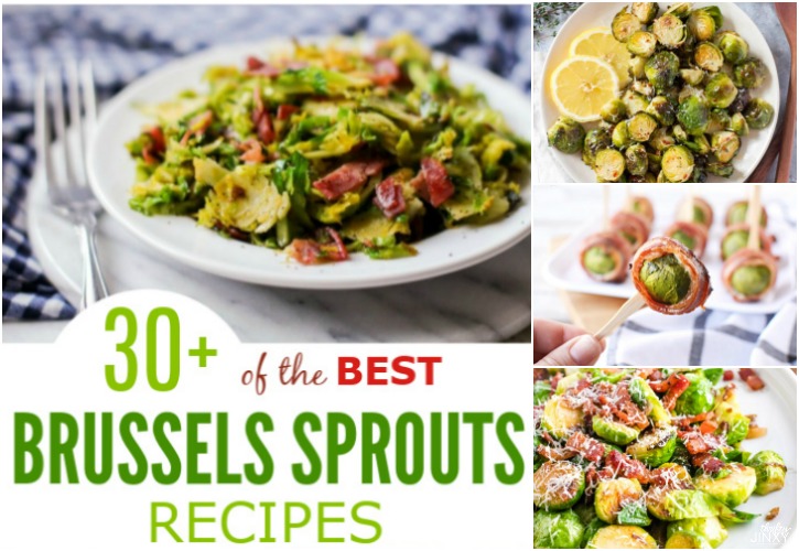 30+ of the BEST Brussels Sprouts Recipes - Thrifty Jinxy