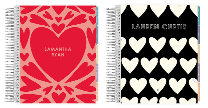 Erin Condren Heart LifePlanners