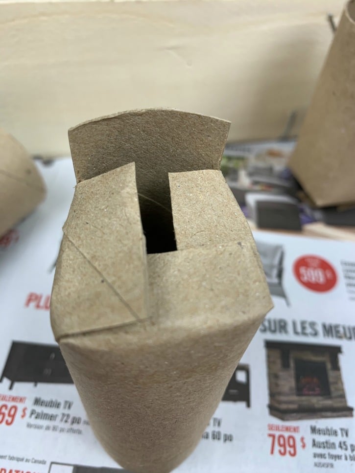 Paper Roll Seed Starter Craft