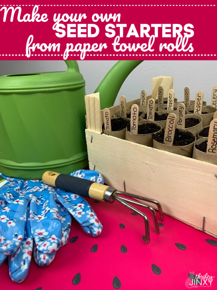 Paper Towel Roll Seed Starters