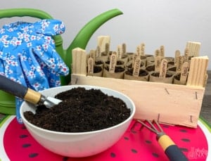DIY toilet paper roll seed starter kit