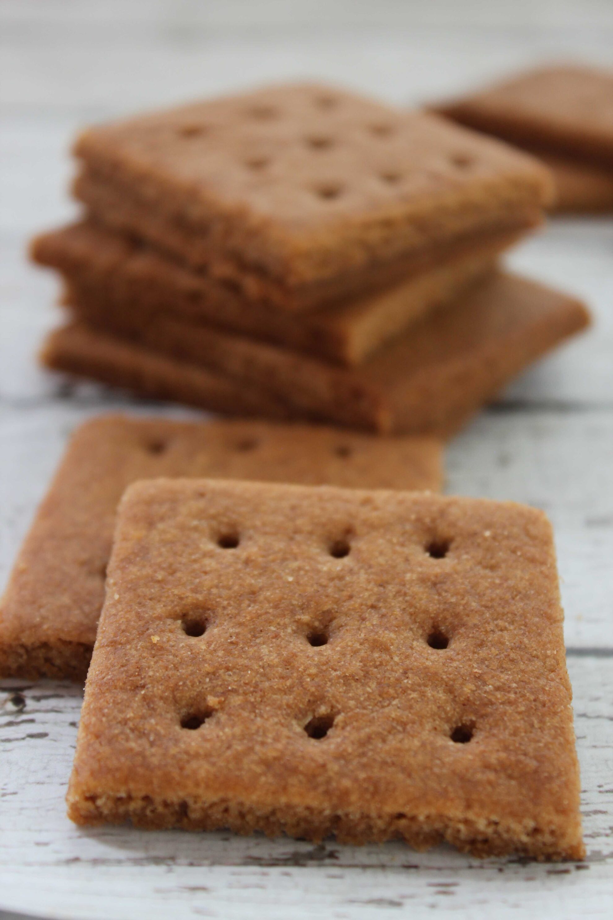 Easy Homemade Graham Crackers Recipe - Thrifty Jinxy