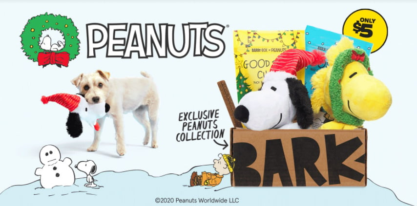 Peanuts BarkBox