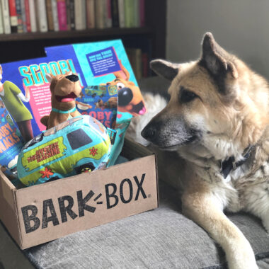 Scooby Doo BARK BOX