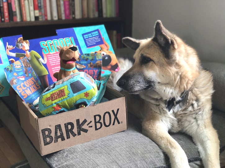 Scooby Doo BARK BOX