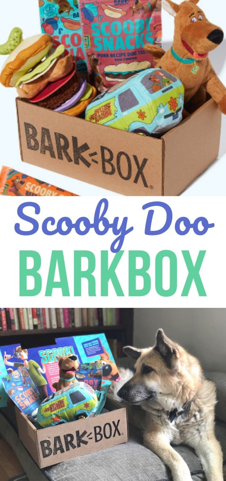 Scooby Doo BarkBox for Your Dog See What's Inside! Thrifty Jinxy