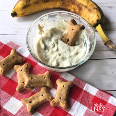 Dog Biscuit Dip in Bowl with Dog Biscuits and Banana