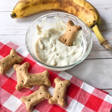 Dog Biscuit Dip in Bowl with Dog Biscuits and a Banana