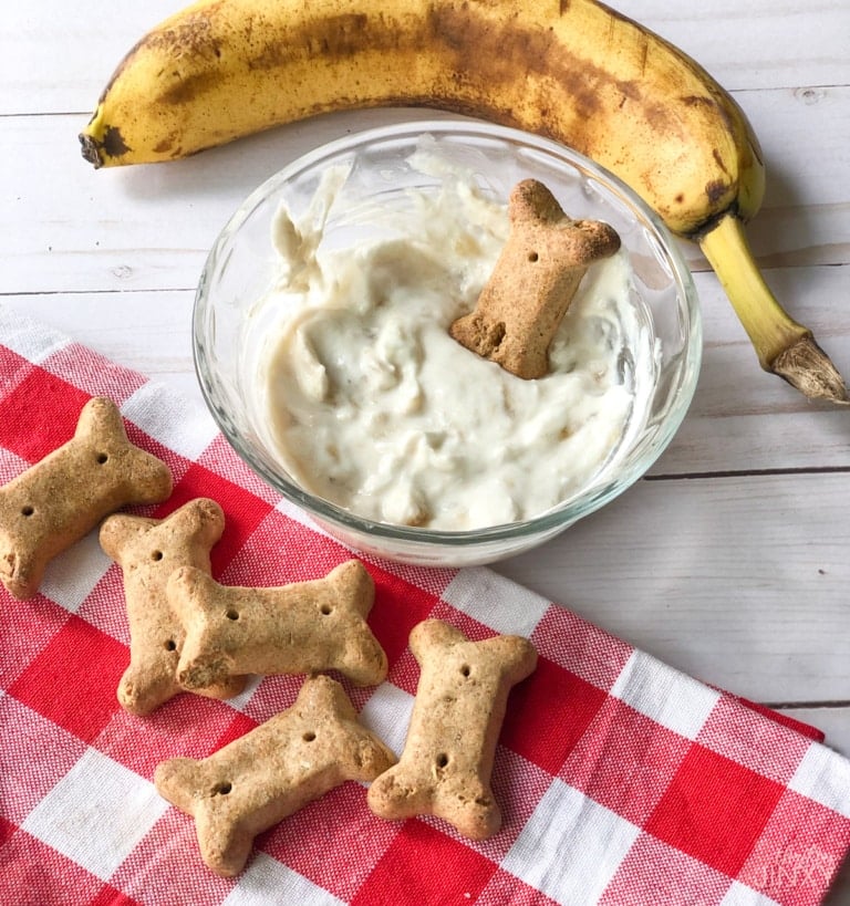 Invite Your Pet To The Party With This Dog Treat Dip Recipe - Thrifty Jinxy