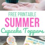 Summer Cupcake Toppers (1)