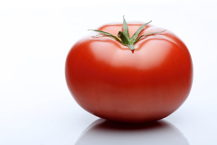 tomato on white background