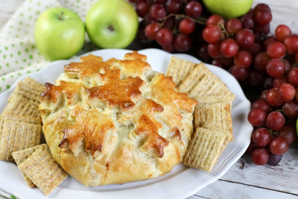 Apple Cranberry Brie en Croute Recipe - Thrifty Jinxy