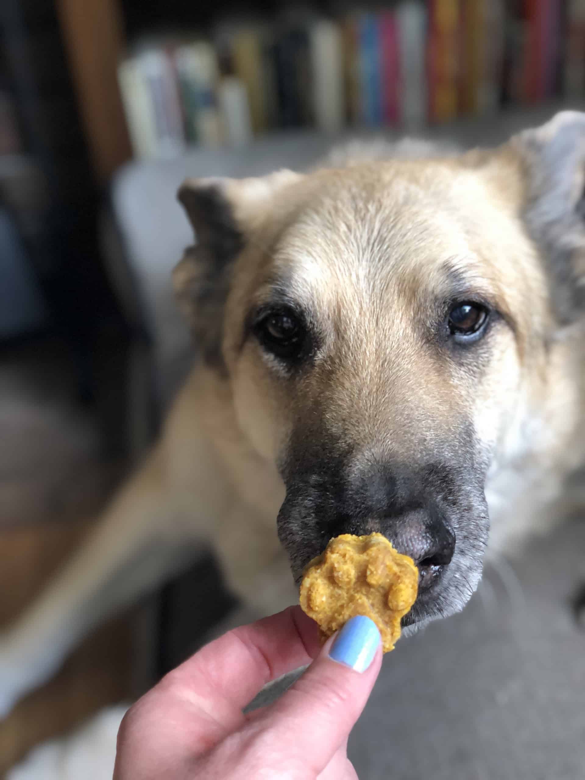 Peanut Butter Dog Treats With No Sticking! Another Silicone Pan