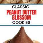 CLASSIC PEANUT BUTTER BLOSSOM COOKIES