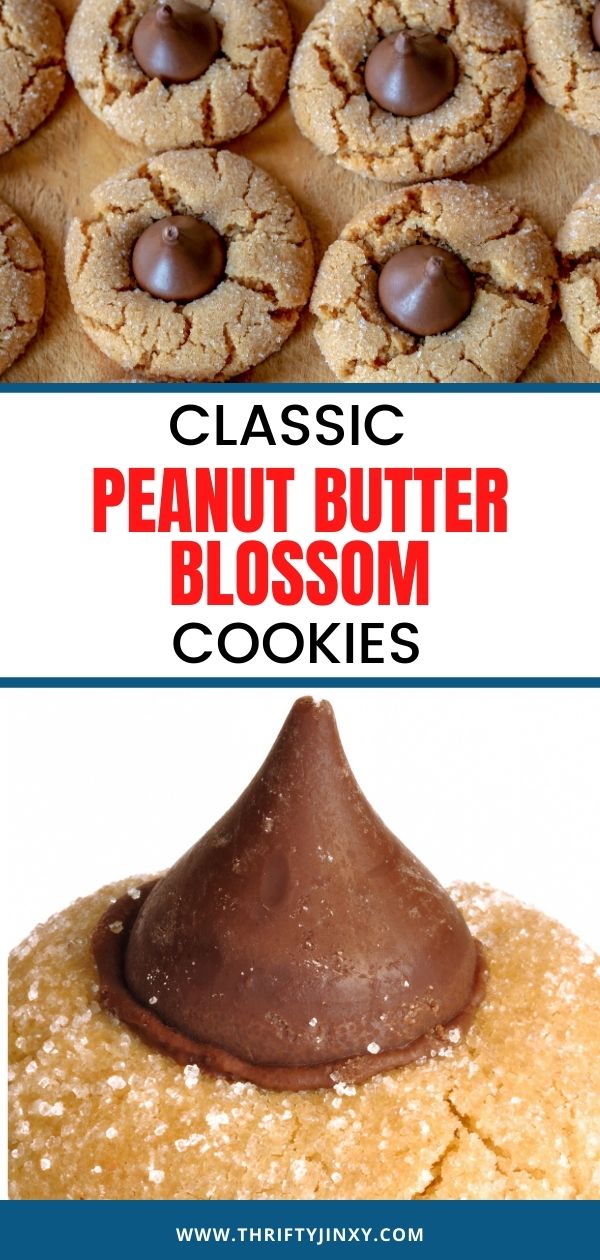 Peanut Butter Blossoms Cookie Recipe Hershey Kiss Classic! Thrifty