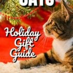Cats Holiday Gift Guide