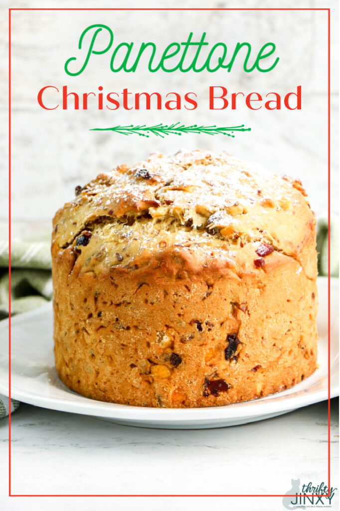 Easy Panettone Recipe - A Christmas Favorite! - Thrifty Jinxy