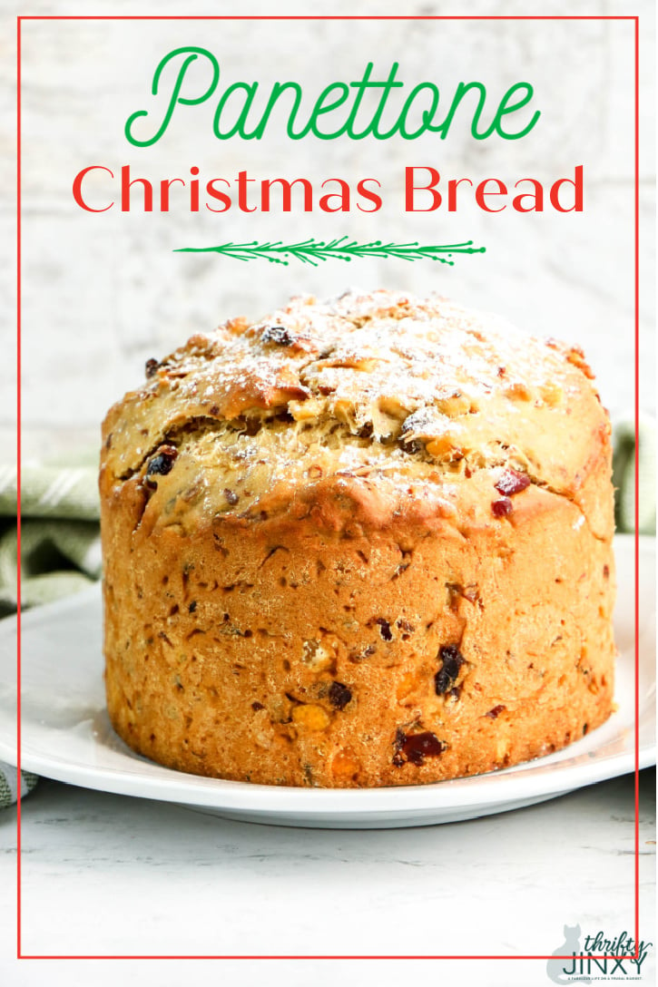 Panettone Christmas Bread Recipe