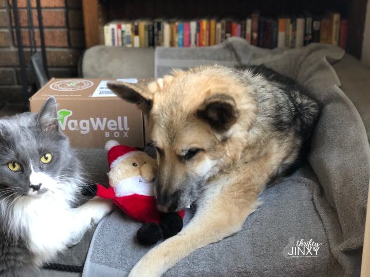 WagWell Subscription Box