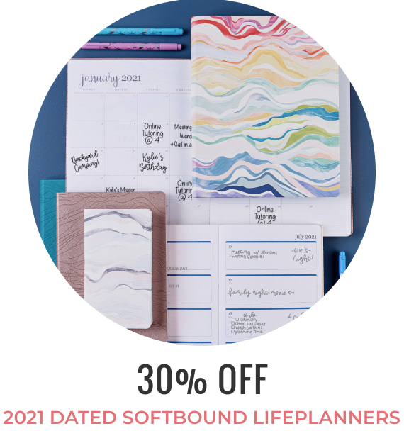 erin condren softbound planners