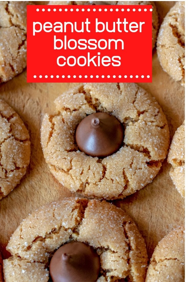 Peanut Butter Blossoms Cookie Recipe - Hershey Kiss Classic! - Thrifty ...