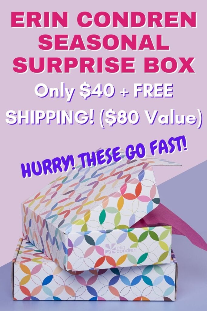 ERIN CONDREN SEASONAL SURPRISE BOX