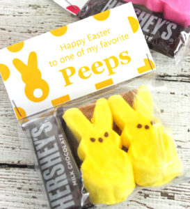 Peeps Smores Treat Bags for Easter