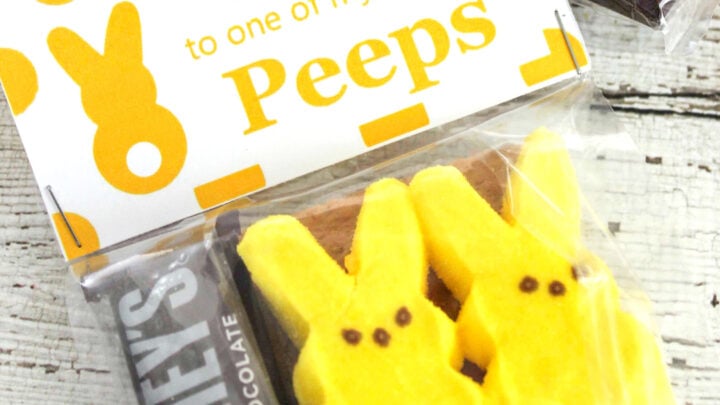 Peeps Smores Treat Bags for Easter