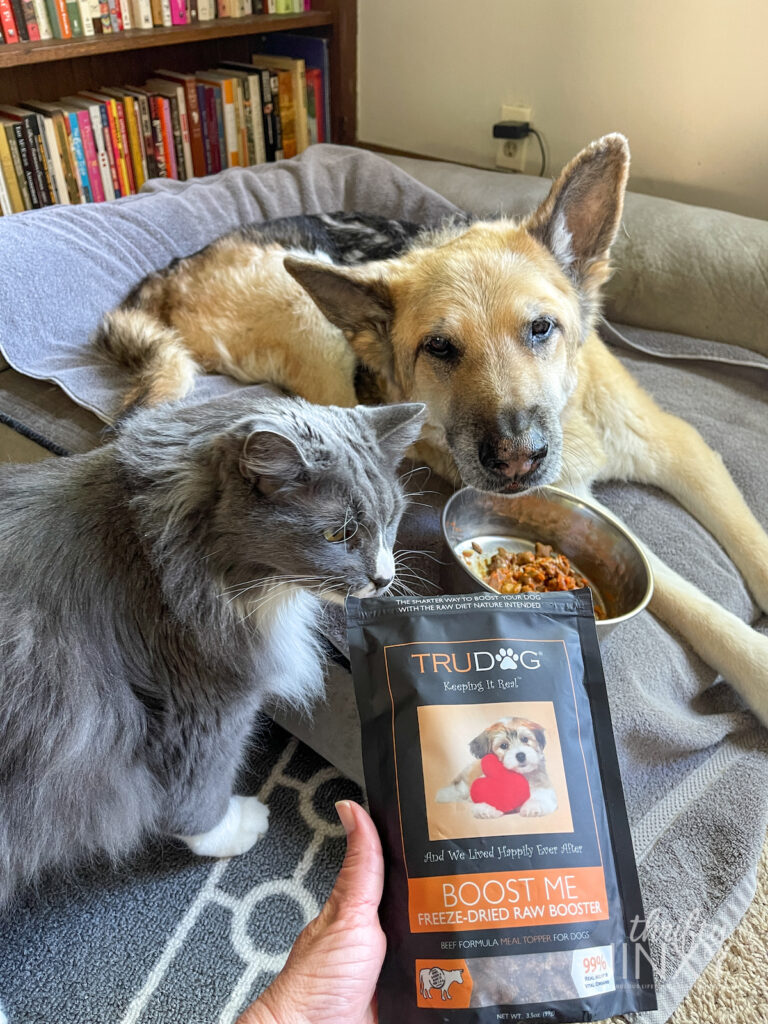 Dog and Cat smelling TruDog Raw Booster