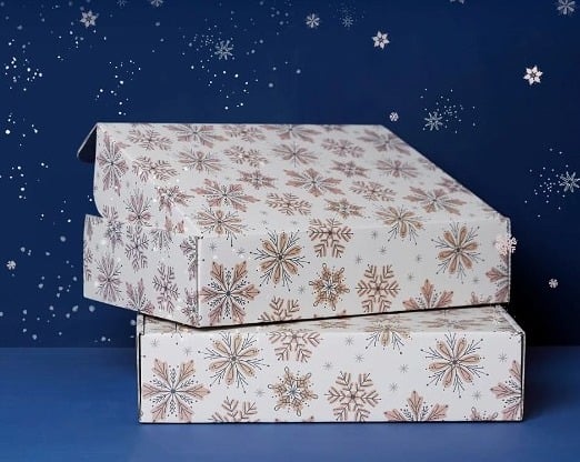 Erin Condren Winter Seasonal Surprise Box