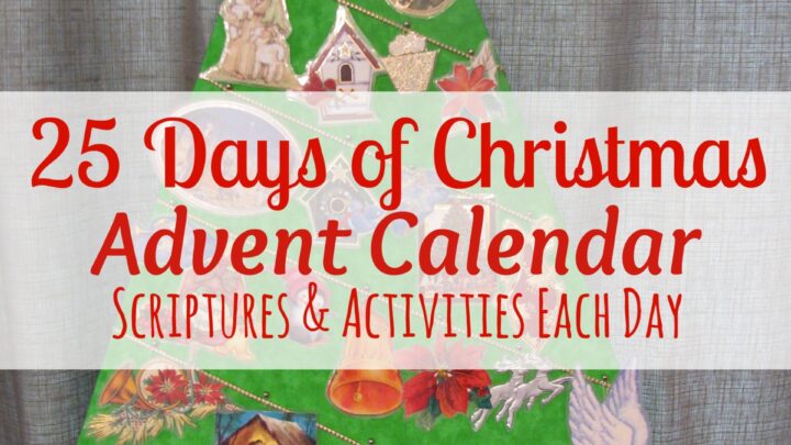Image for 25 Days of Christmas Advent Calendar