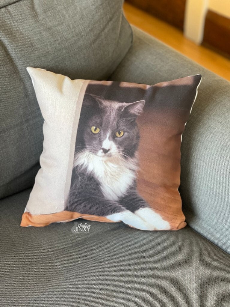 Custom Pet Photo Pillow