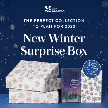 Erin Condren Winter Surprise Box
