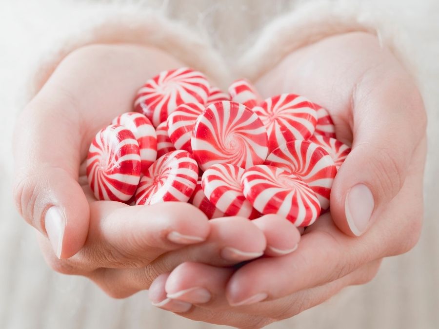 woman holding peppermint candies