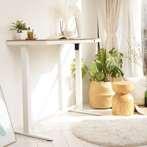 FlexiSpot Standing Desk