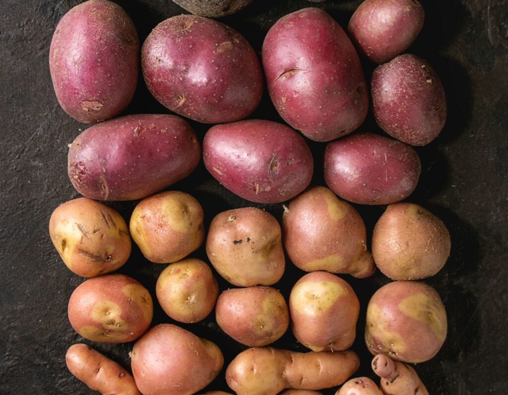 varieties of potatoes